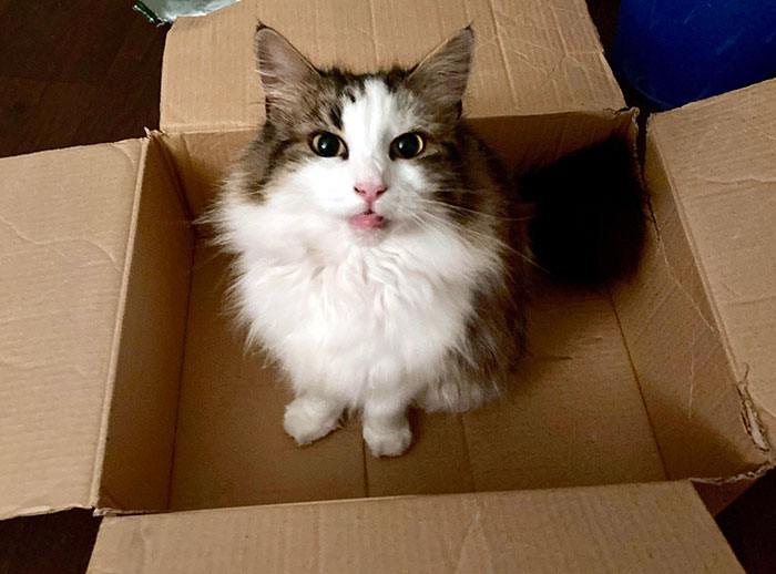 She Got Her First Box, And She Loved It