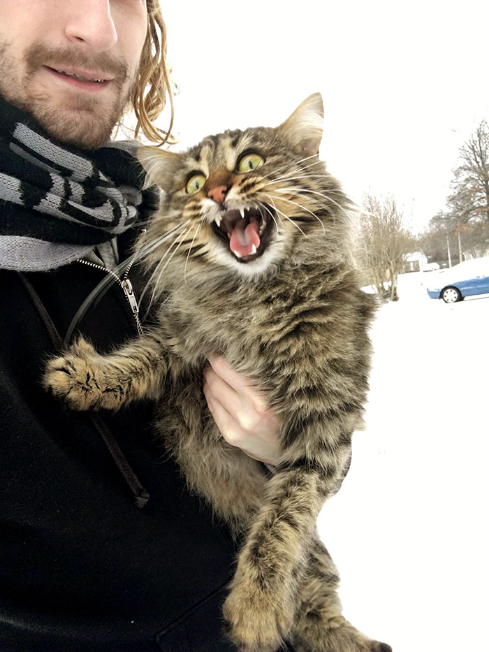 La primera experiencia de Hildegard con la nieve salió bien 