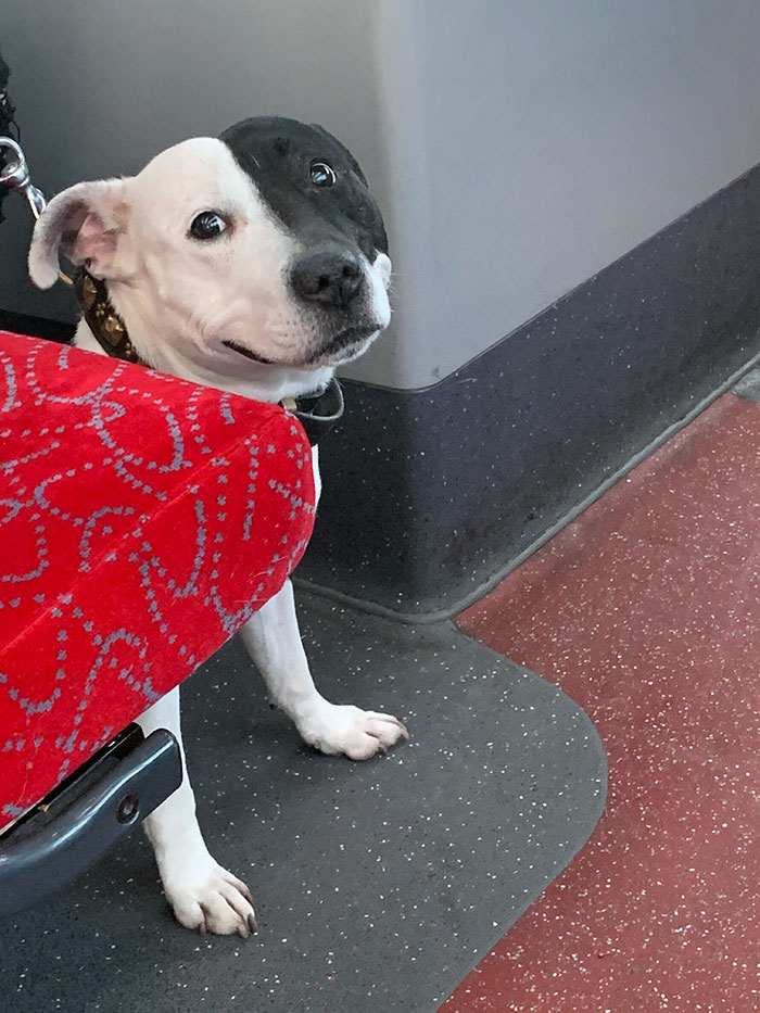 First Time On The Bus