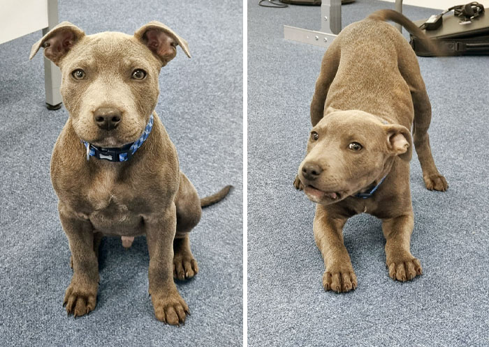 My Boy Went To The Office For The First Time