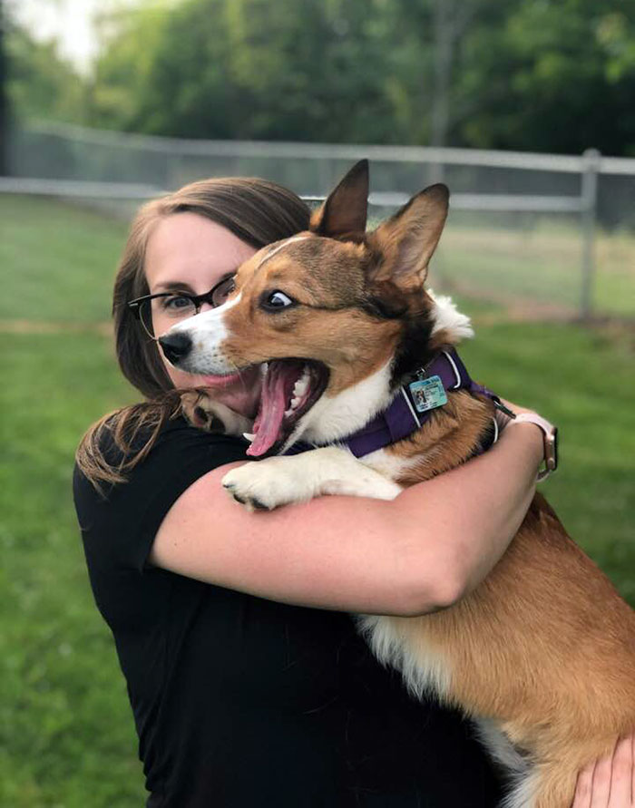 Cuando mamá y papá te llevan al parque para perros por primera vez 