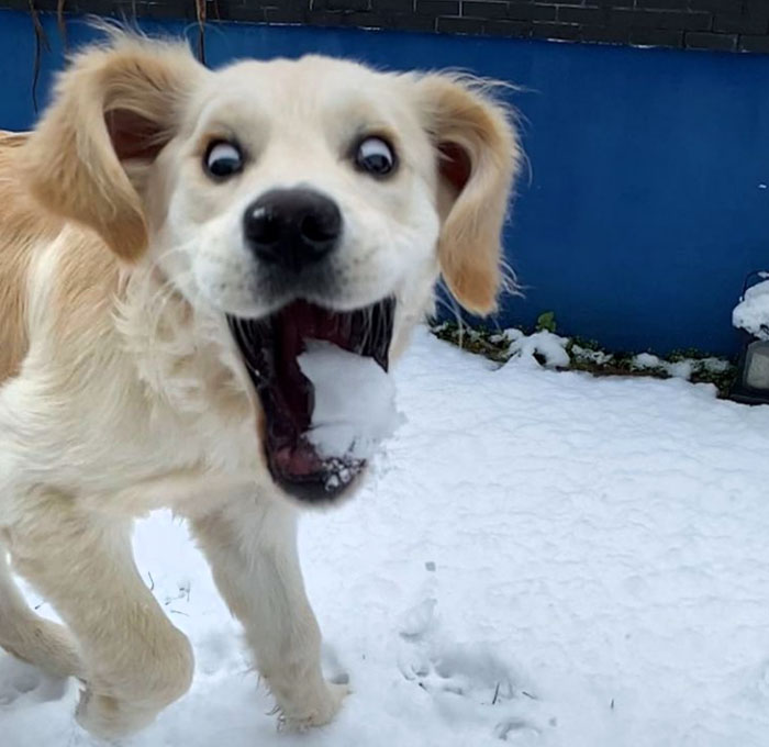 Su primera vez jugando en la nieve 