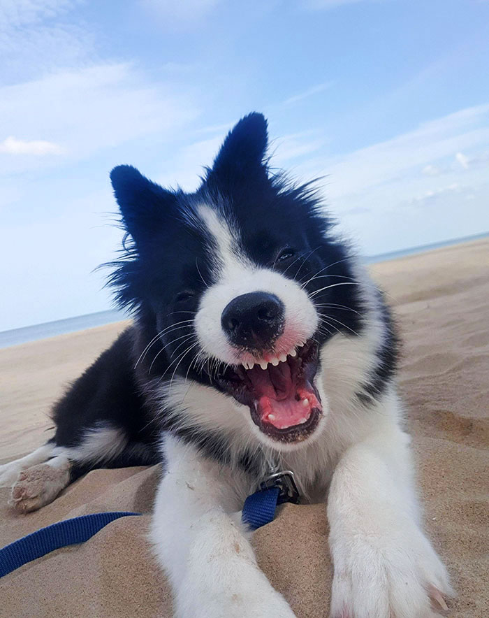 It's Tsunade's Very First Day At The Beach