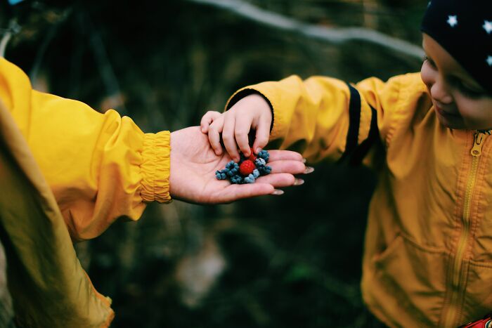 Boy Eating Fresh Berries From Mom's Hand 