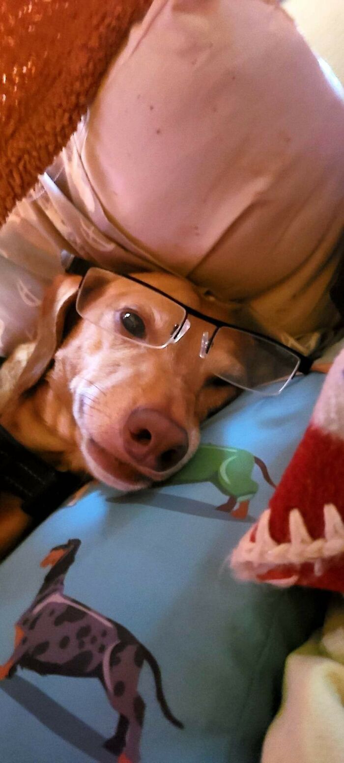 Good Morning Mama, What Are We Doing Today?