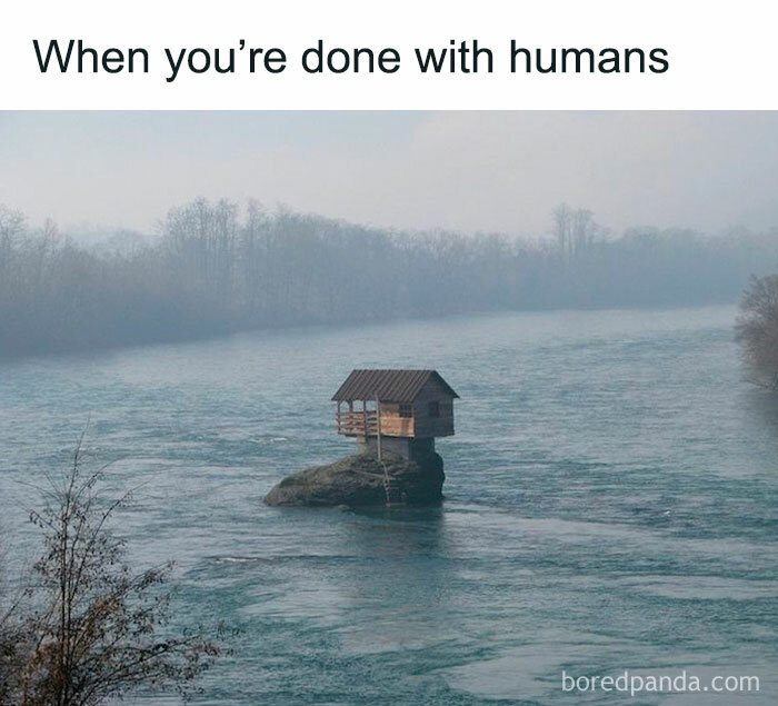 Relatable-Antisocial-Memes