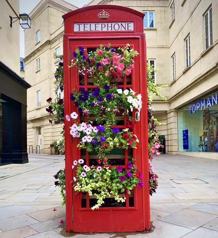 An Old British Telephone Box Which Was Decommissioned From Public Use. This One In Bath Has Been Turned Into A Flower Bed