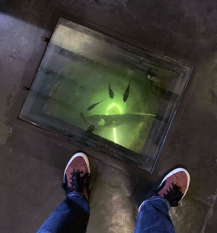 Local Pub Has An Old Well Turned Into A Fish Tank