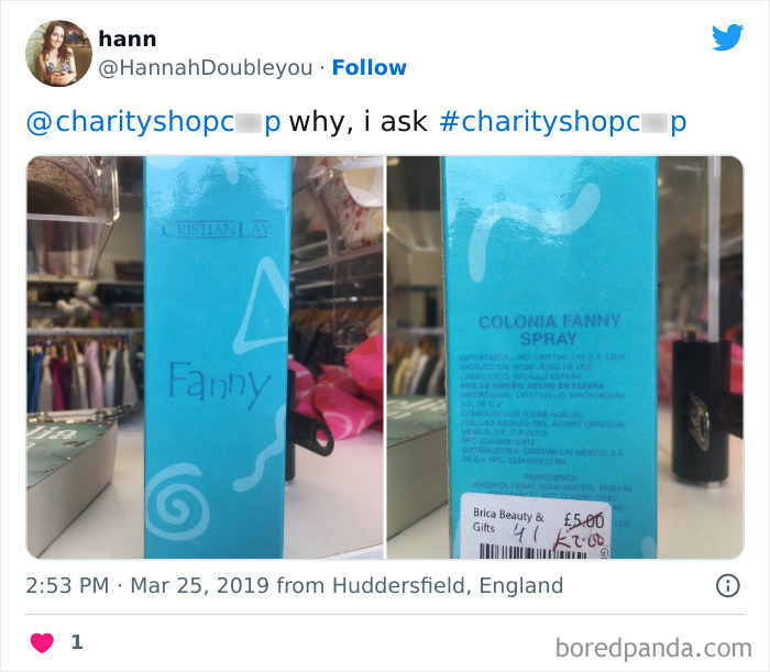 Ridiculous-Charity-Shop-Finds