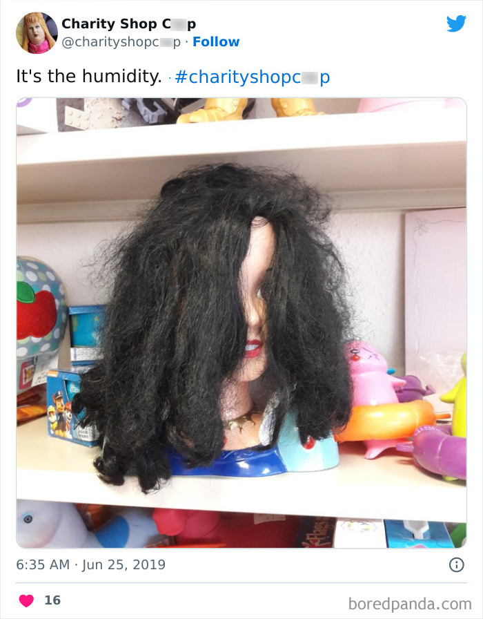 Ridiculous-Charity-Shop-Finds