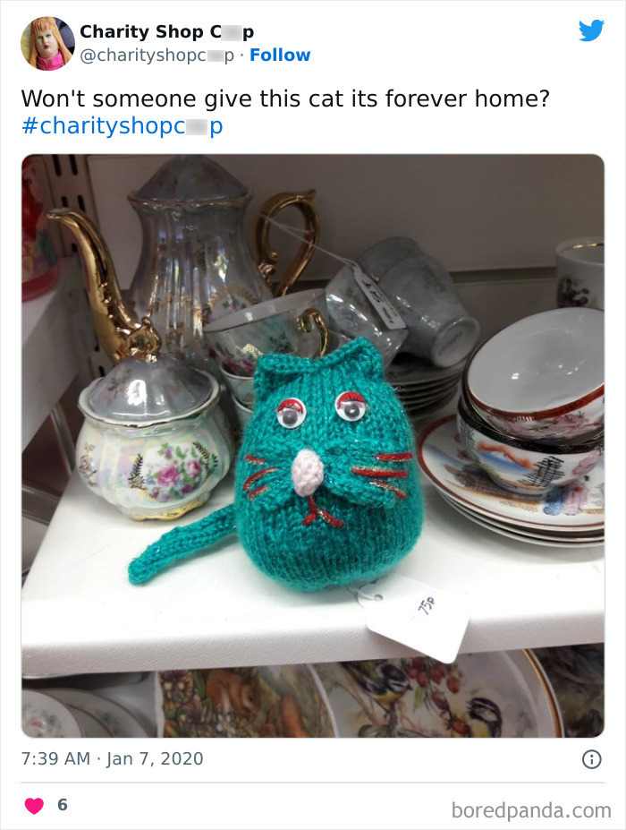 Ridiculous-Charity-Shop-Finds