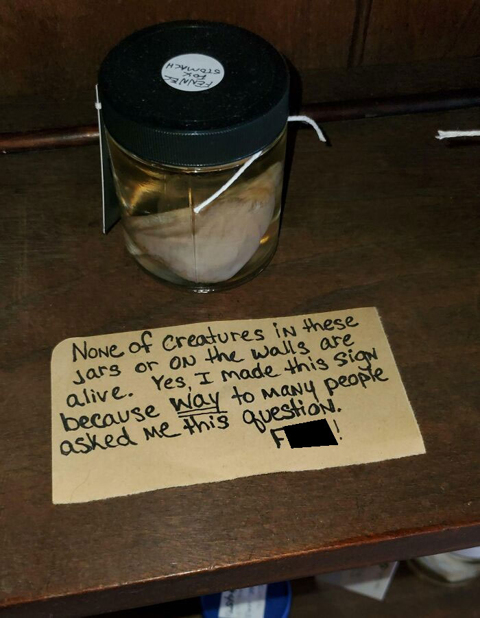 Found At A Local Oddities Shop Called Dysfunctional Grace In Tampa