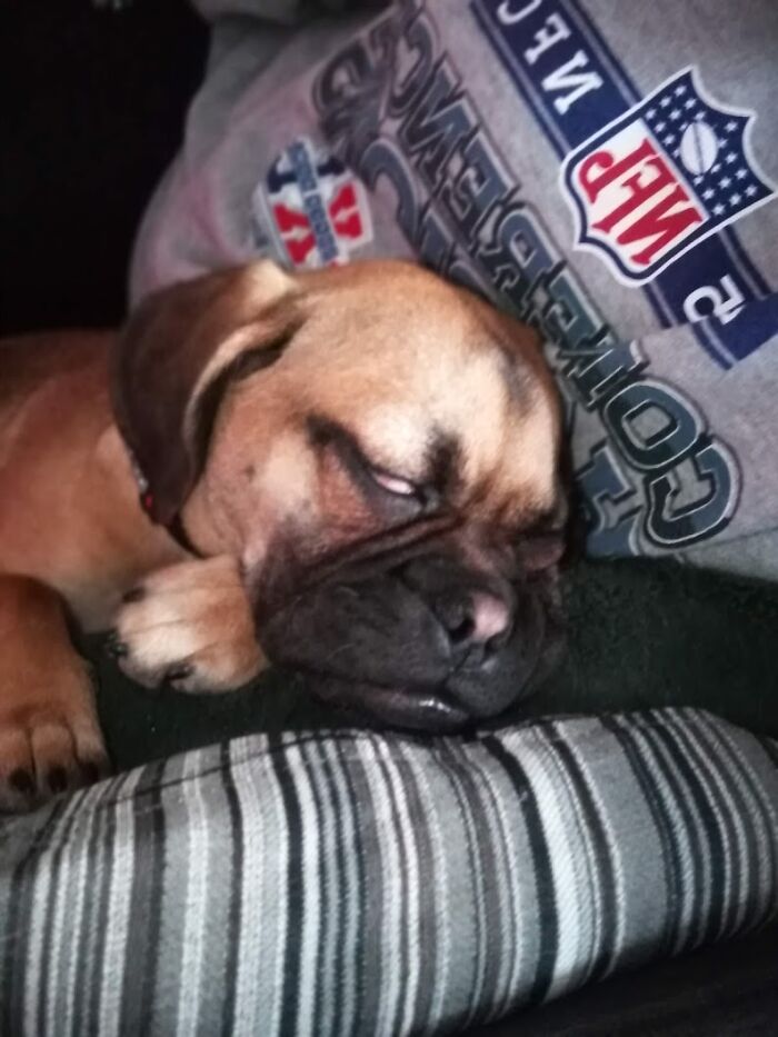 25 Images That I Found Clearing My Drive