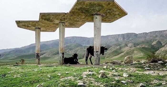 From Amazing To Downright Scary, These 50 Design And Architecture Decisions Are Far From Boring