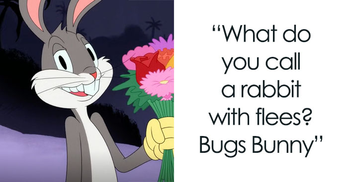 98 Spring Jokes To Make You Shine And Bloom 🌼