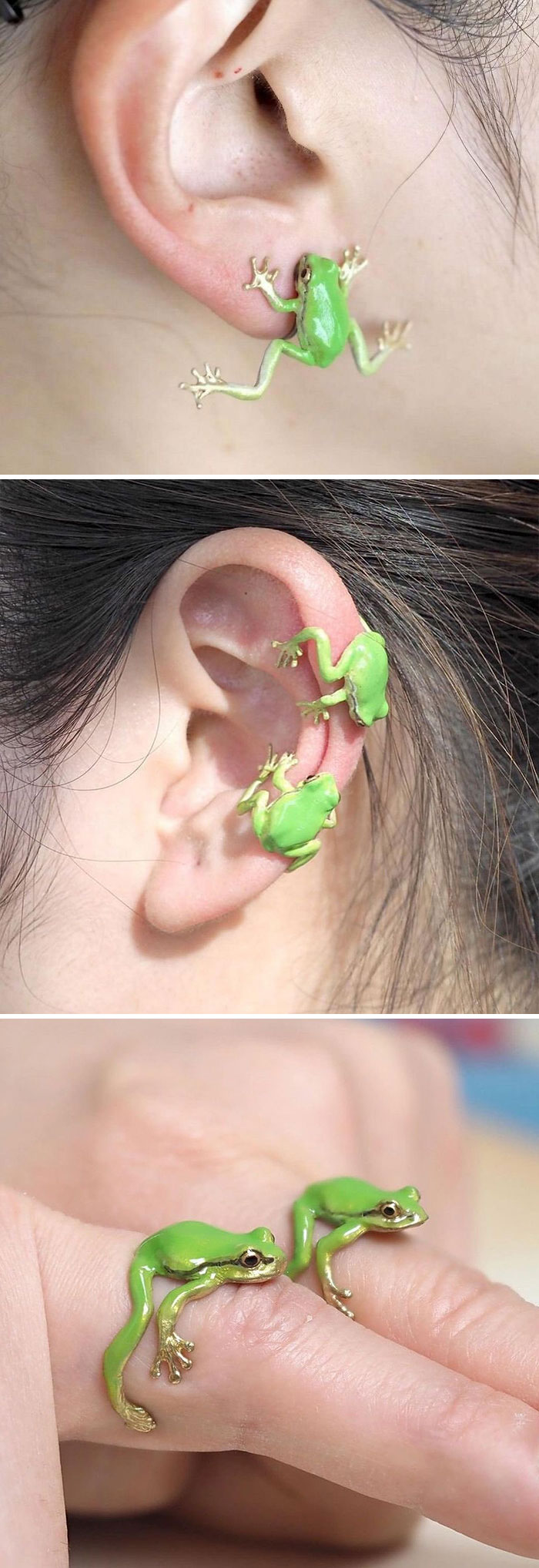 Frog Accessories