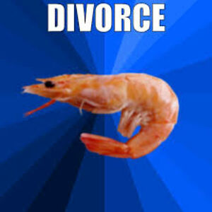 elizabethrbuermann avatar