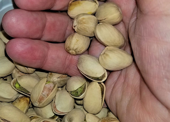 "Felt Like An Idiot": 35 Things People Did Wrong For Years Until They Learned The Right Way