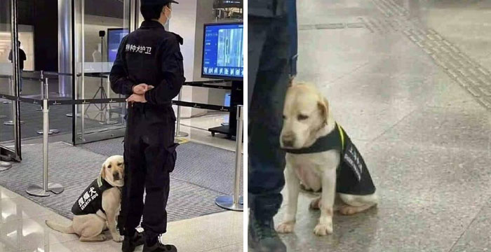 His First Day At Work