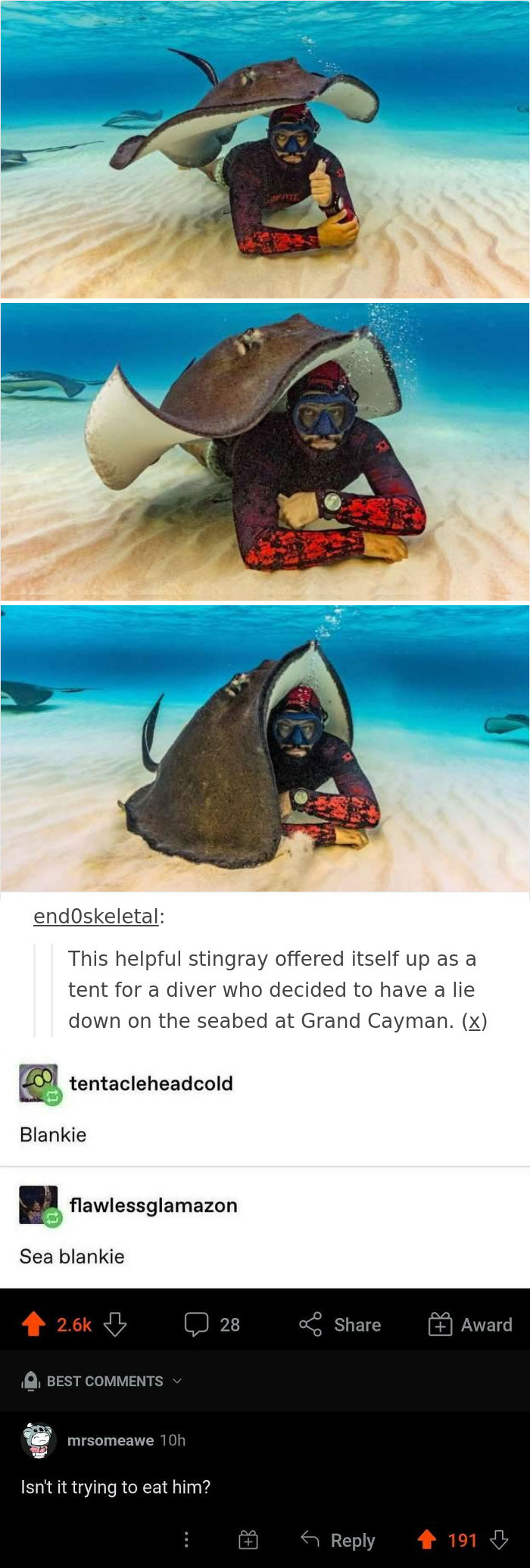 The Face Of The Diver Says It All