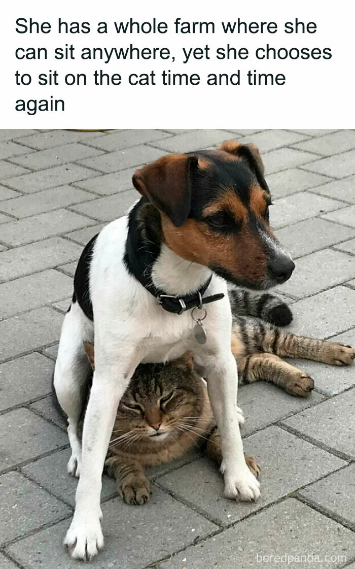 "Yeah, Thanks." -Cat, Probably