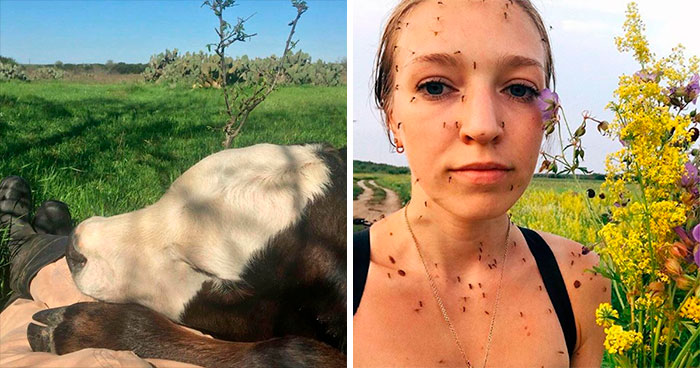 «Esta es mi vida ahora»: 35 Divertidas fotos de personas y animales aceptando situaciones poco comunes