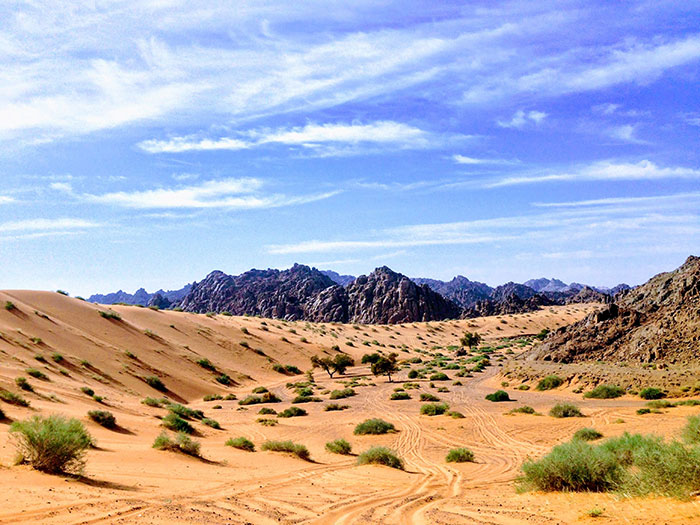 View of sand dune and mountain 