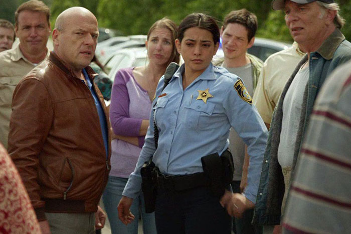 Someone Asks "What Show Did You Start And Wind Up Hating So Much You Didn't Finish It?" And 50 People Share