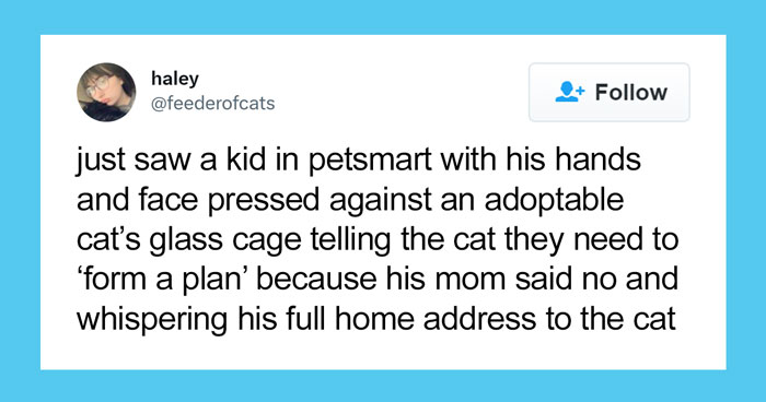 Wholesome Story Of A Boy Whispering His Address To A Cat At The Pet Store Because His Mom Said No, Goes Viral Capturing The Hearts Of Over 200k Twitter Users
