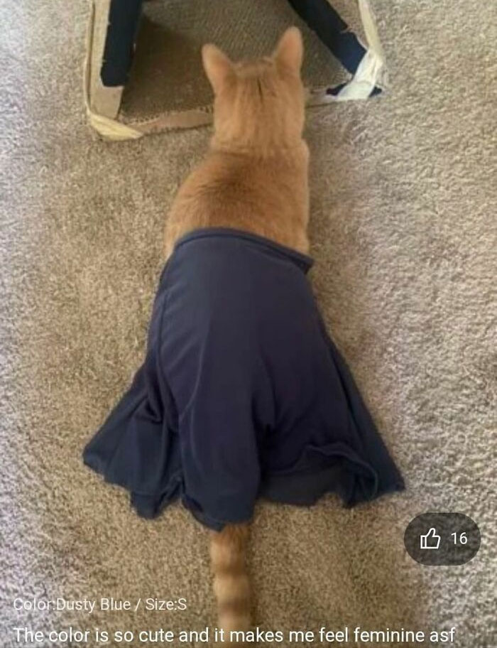 Was Looking At Reviews Of A Bathing Suit. This Was The Most Helpful