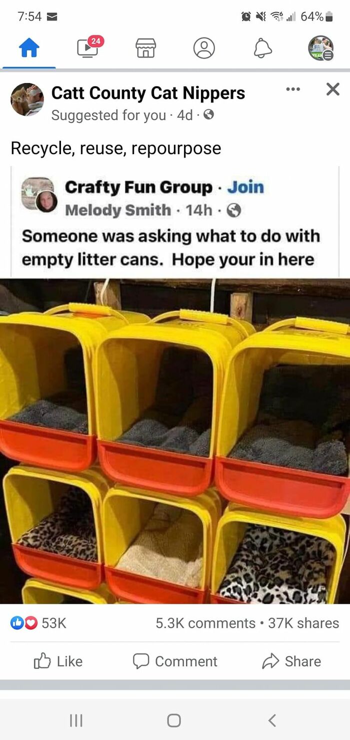 I Dont Own Any Cats...and I Really Don't Want To