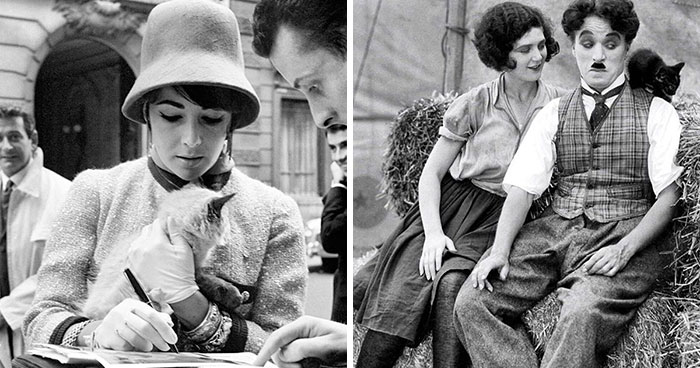 30 Old Photos Of Cats Posing Together With Famous And Interesting Personalities Of The Past As Collected By This Journalist (New Pics)