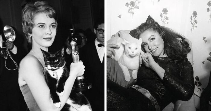 30 Old Photos Of Cats Posing Together With Famous And Interesting Personalities Of The Past As Collected By This Journalist (New Pics)