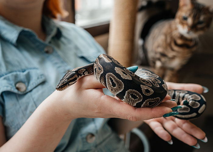 30 Times Know-It-Alls Shamed Moms For The Stupidest Reasons, As Shared In This Online Thread