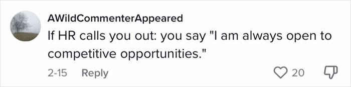 "Had A Good Chat With The CEO About It": Woman Accidentally Applies For Her Own Position As Company Tried To Hire Under Different Name "Had A Good Chat With The CEO About It": Woman Accidentally Applies For Her Own Position As Company Tried To Hire Under Different Name