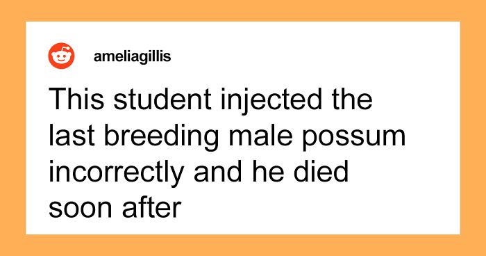 “That Area Is Now Sealed For The Next 100 Years”: 30 Of The Worst Mistakes Someone Has Made At A New Job