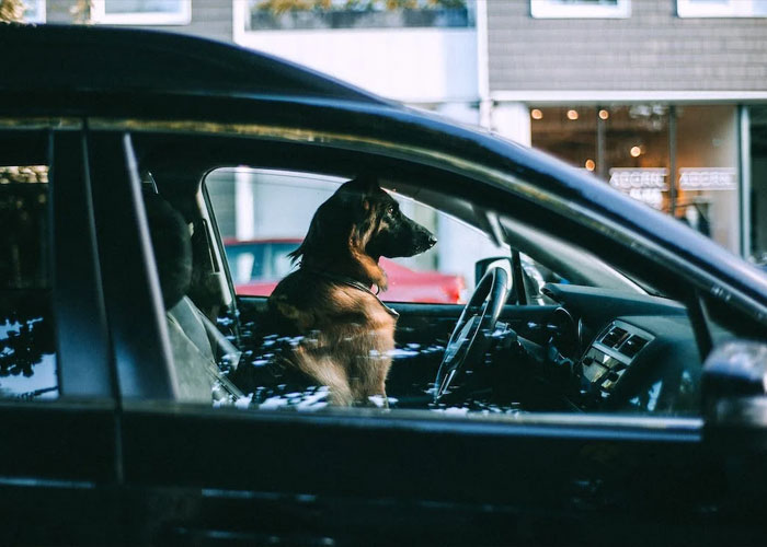 30 People Share Awful Things Their Siblings Did That They Say They Will Never Forgive