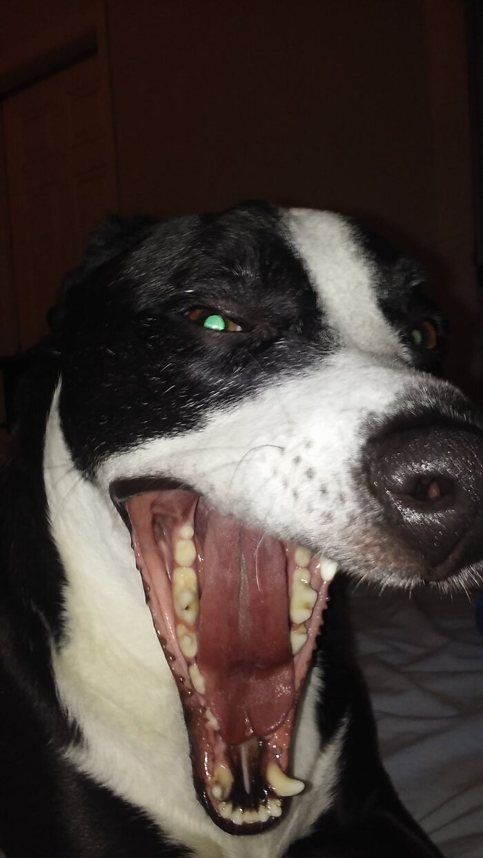 25 Images That I Found Clearing My Drive