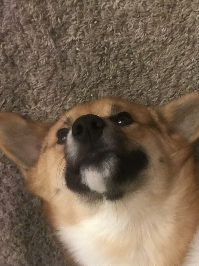 He Makes Me Very Happy And Inspired This Account, He Is Winston