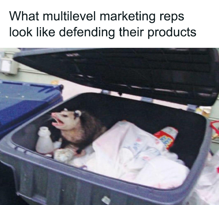 I Think This Is Extremely Disrespectful! Poor Possum Didn't Ask For This!