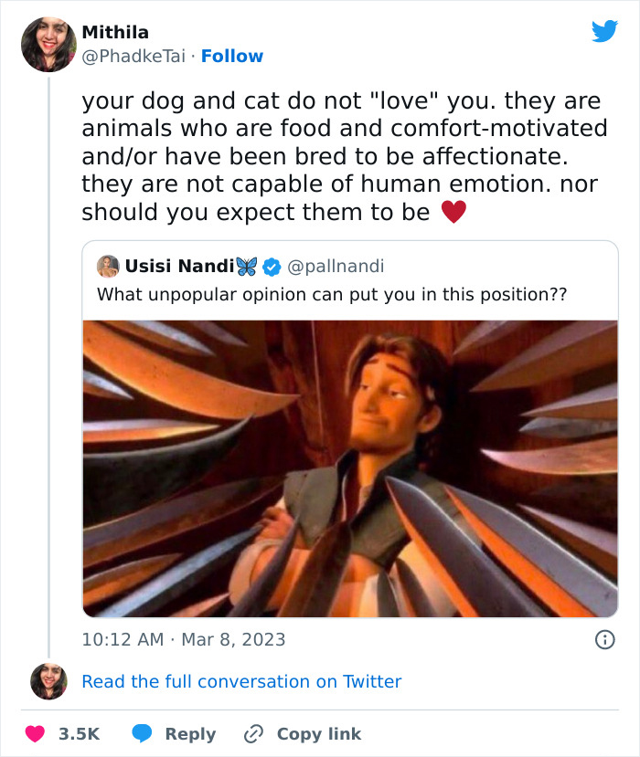 &ldquo;Your Dog And Cat Do Not &lsquo;Love&rsquo; You&rdquo;: Person Attempts To &lsquo;Debunk Myth&rsquo; On The Nature Of Pet-Owner Relationships, Gets Slammed Heavily In Return