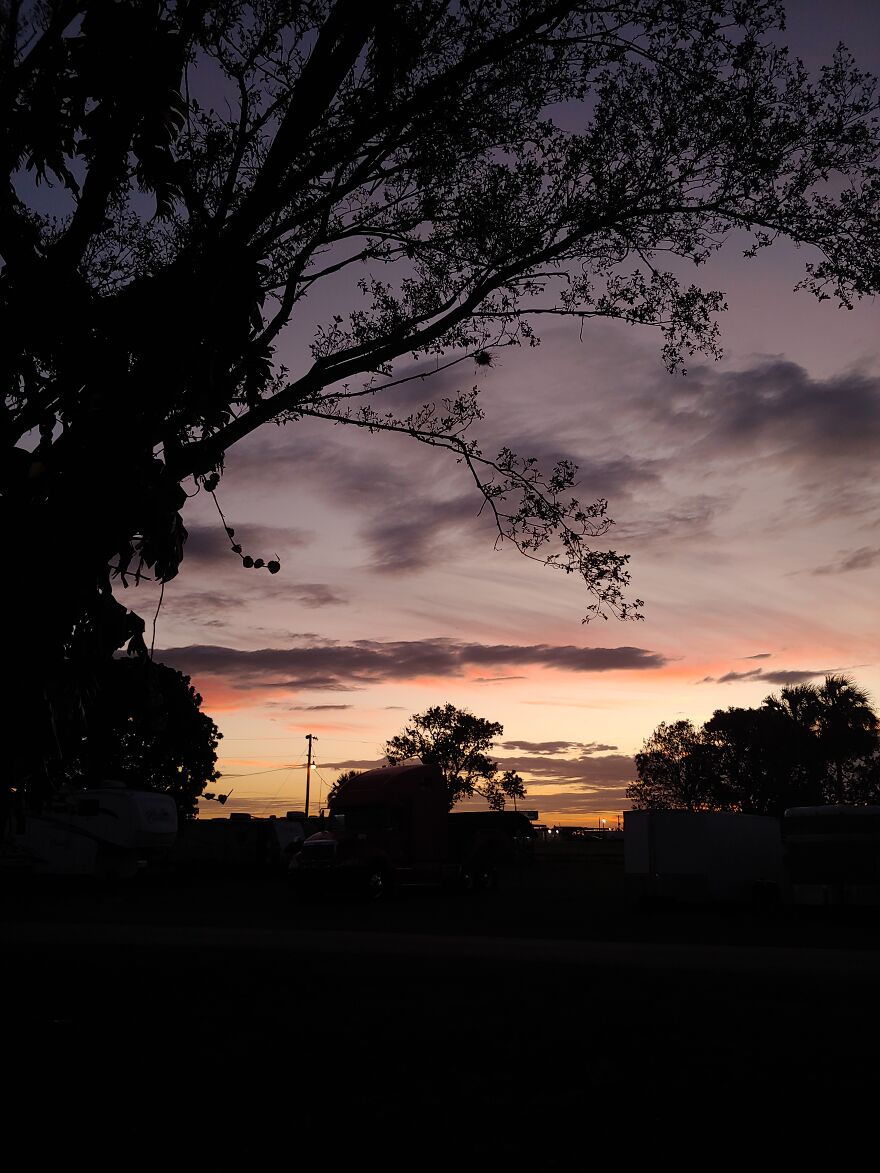 Sun Set In The Everglades