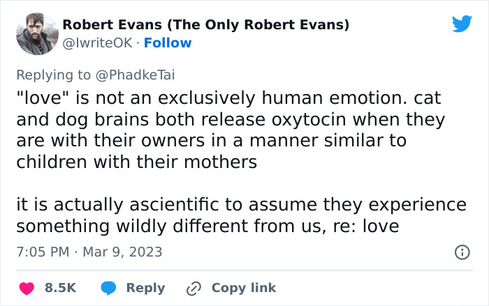 &ldquo;Your Dog And Cat Do Not &lsquo;Love&rsquo; You&rdquo;: Person Attempts To &lsquo;Debunk Myth&rsquo; On The Nature Of Pet-Owner Relationships, Gets Slammed Heavily In Return