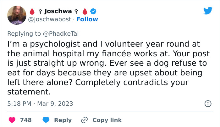 &ldquo;Your Dog And Cat Do Not &lsquo;Love&rsquo; You&rdquo;: Person Attempts To &lsquo;Debunk Myth&rsquo; On The Nature Of Pet-Owner Relationships, Gets Slammed Heavily In Return