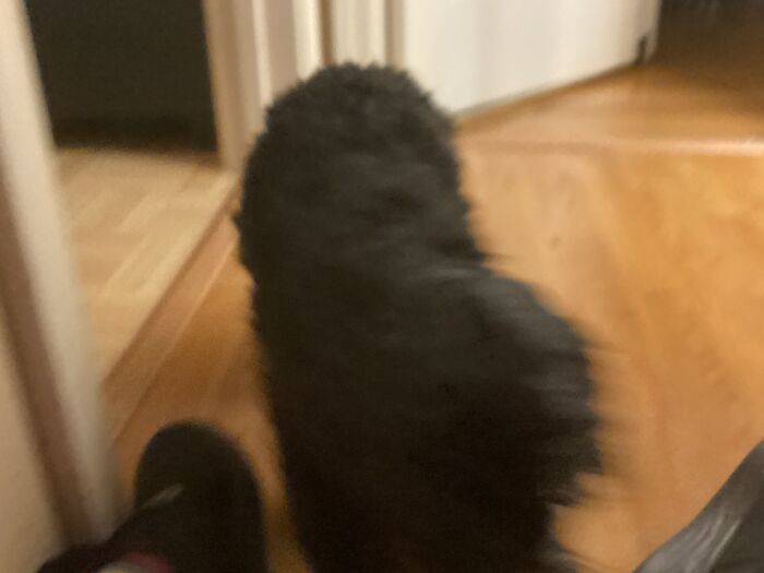 Context: She Came Sliding To Me Really Fast When I Said “Outside”