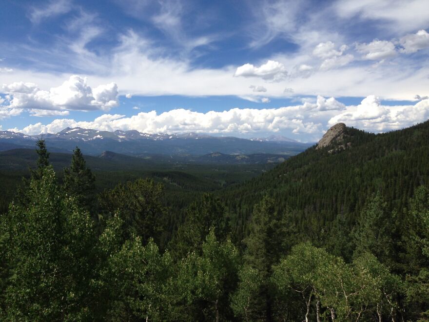 On A Trail In Colorado