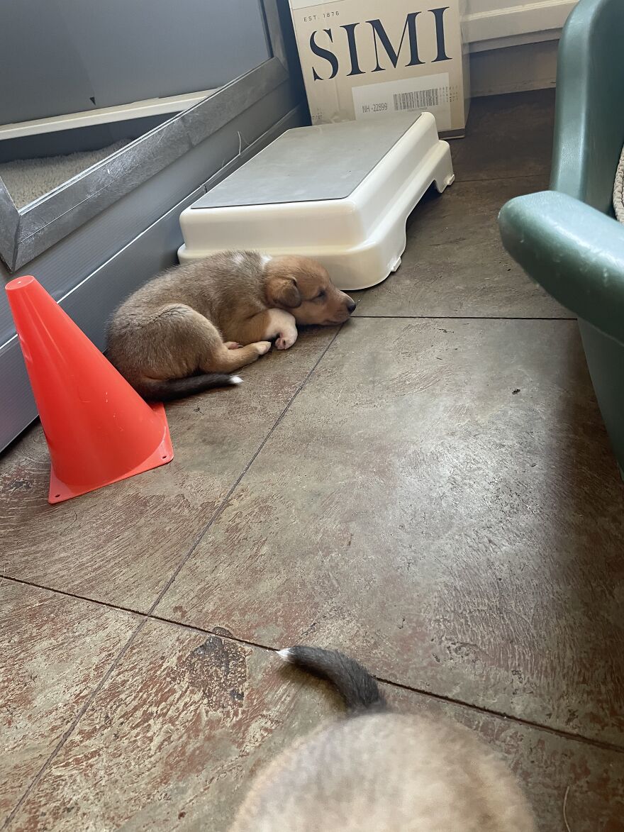 Hey Pandas! Here Are Some Photos Of My Summer Last Year On A Farm!