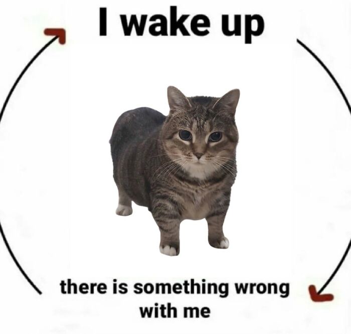 Funny-Uncomfortable-Memes