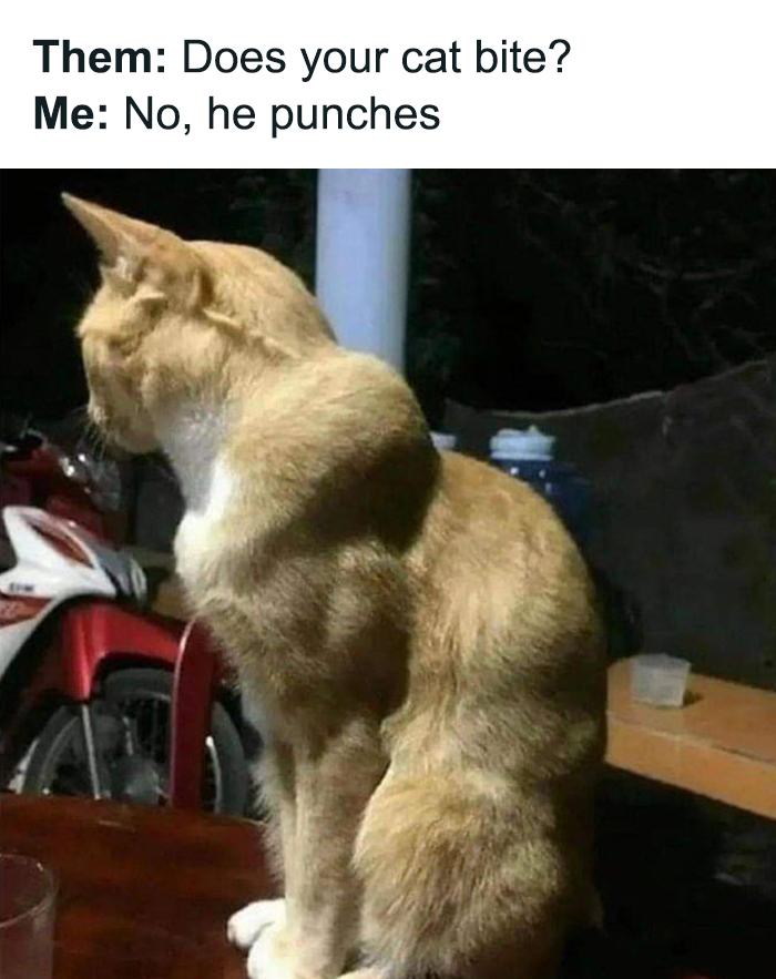 Funny-Uncomfortable-Memes