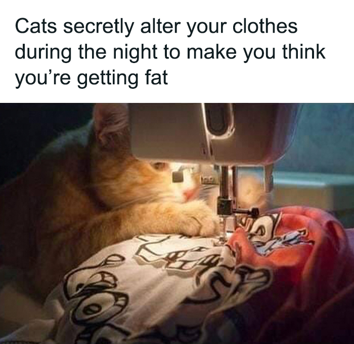 Funny-Uncomfortable-Memes